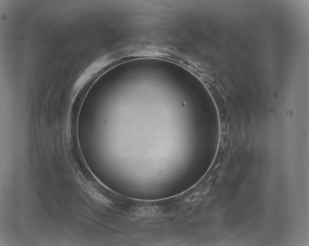 X0000085240296200703091224