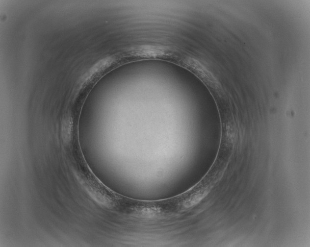 X0000085240304200703091224