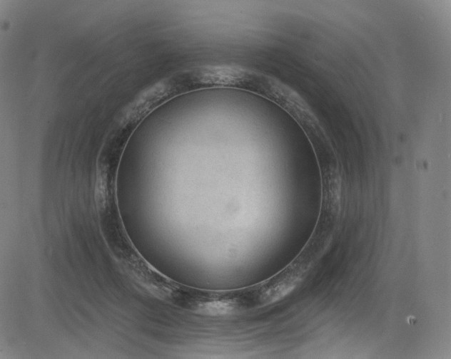 X0000085240312200703091223