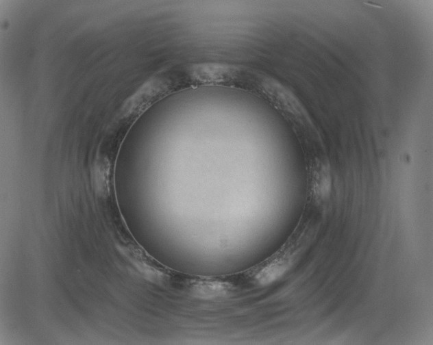 X0000085240332200703091223
