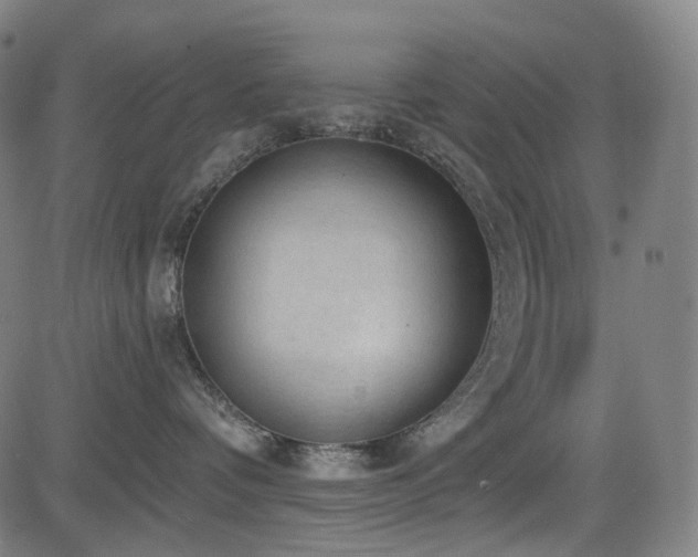 X0000085240336200703091223
