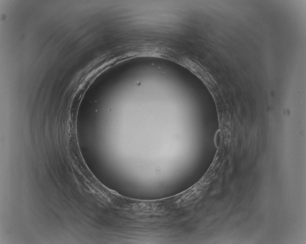 X0000085240338200703091222