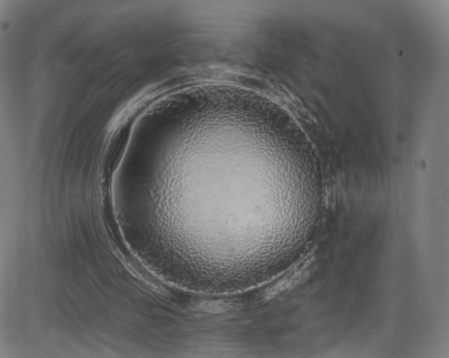 X0000085240341200703091222