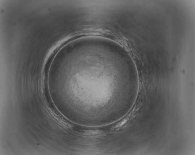 X0000085240342200703091222
