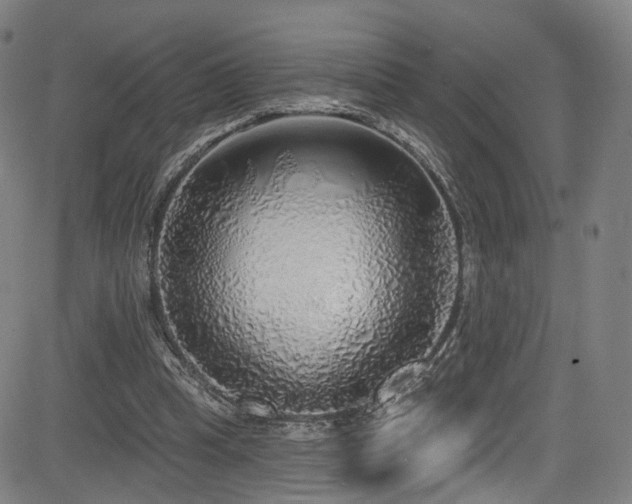 X0000085240345200703091222
