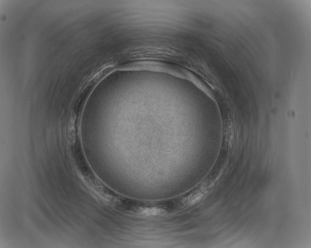 X0000085240360200703091223