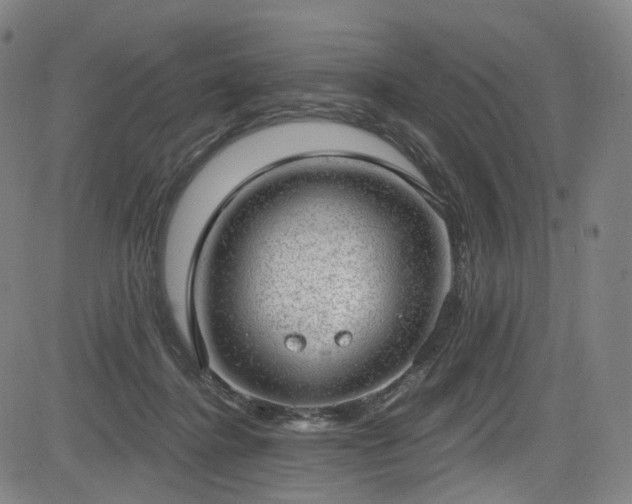 X0000085240364200703091223