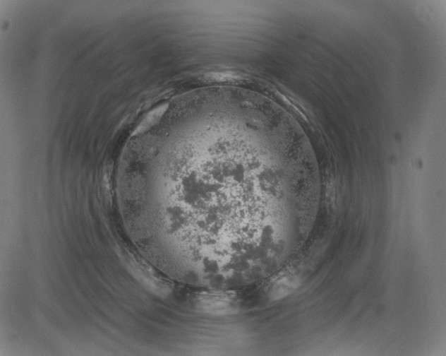 X0000085240373200703091223