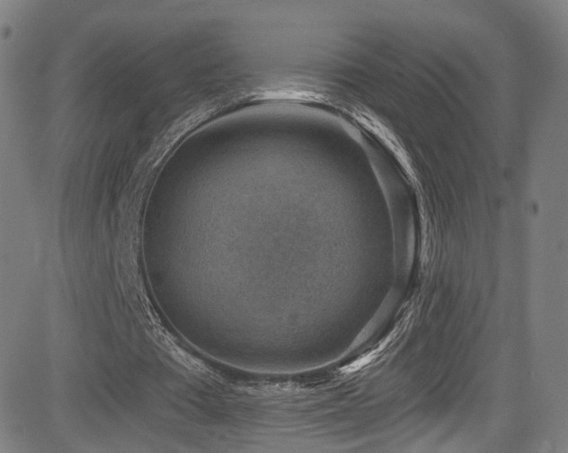 X0000085240385200703091222