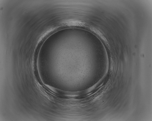 X0000085240391200703091222
