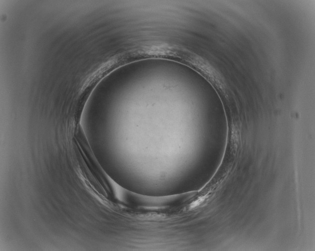 X0000085240397200703091222