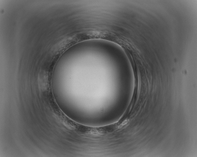 X0000085240416200703091222