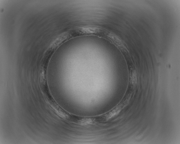 X0000085240418200703091222