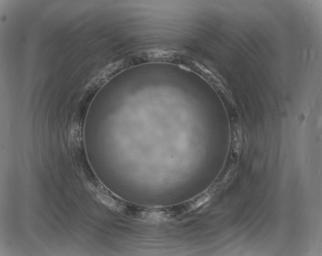 X0000085240419200703091222