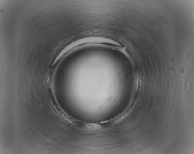 X0000085240429200703091222