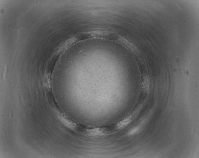 X0000085240430200703091221
