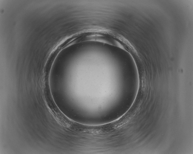 X0000085240436200703091221