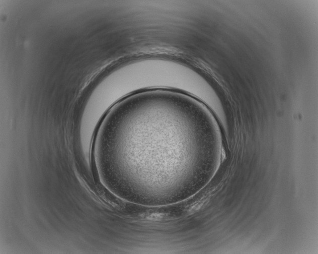 X0000085240448200703091221