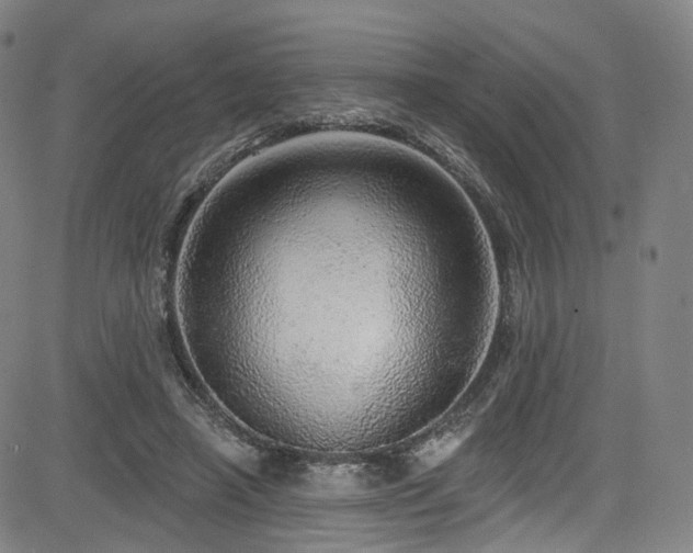 X0000085240450200703091221