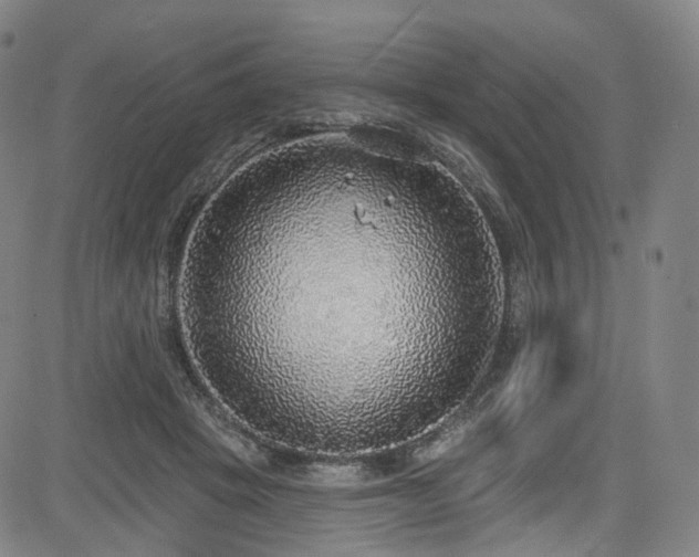 X0000085240457200703091221