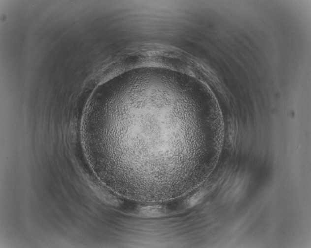 X0000085240461200703091221