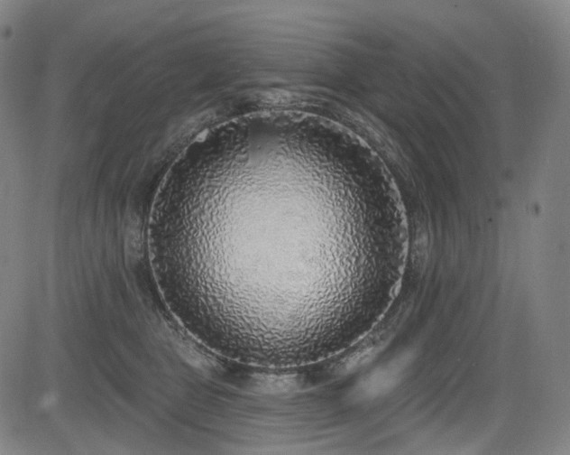 X0000085240469200703091221