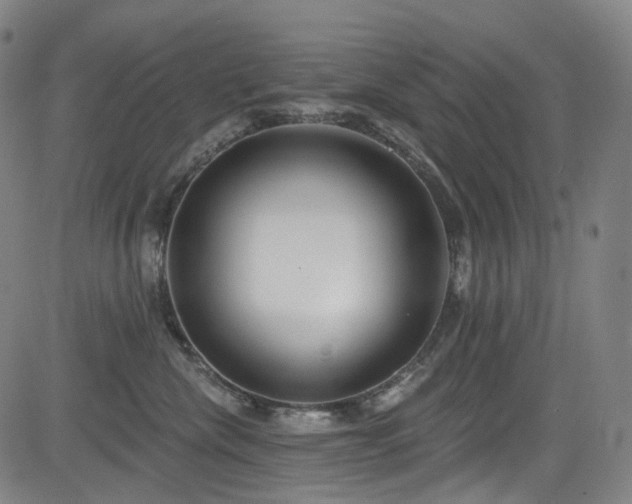 X0000085240476200703091221