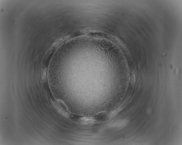 X0000085240477200703091221