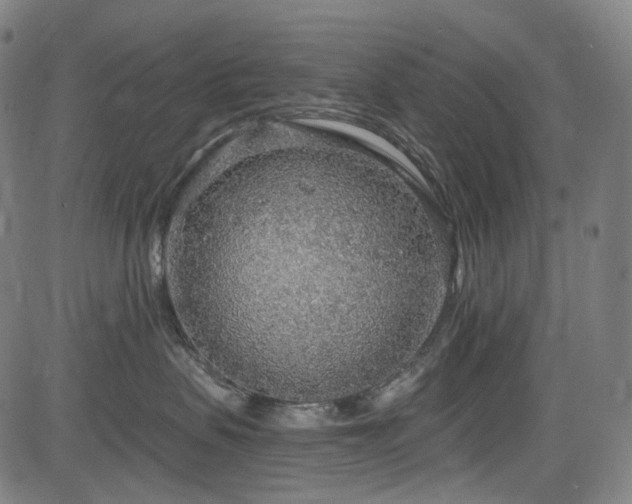 X0000085240479200703091221