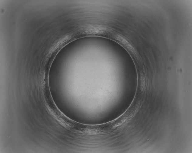 X0000085240490200703091220
