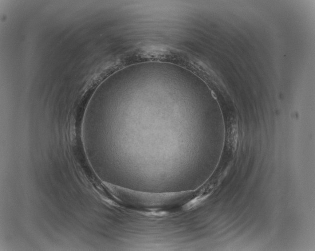 X0000085240508200703091220