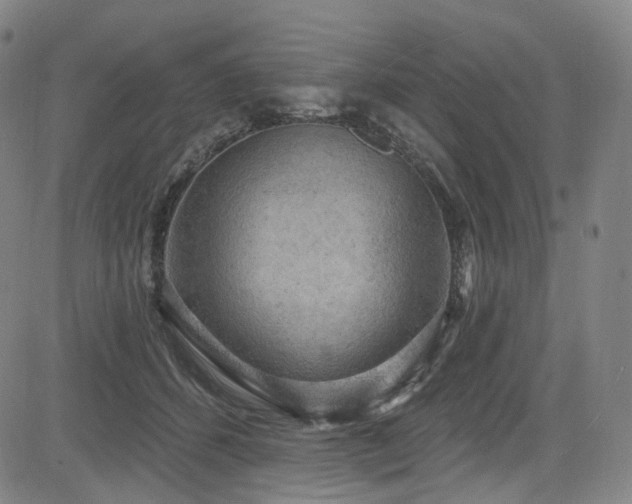 X0000085240512200703091220