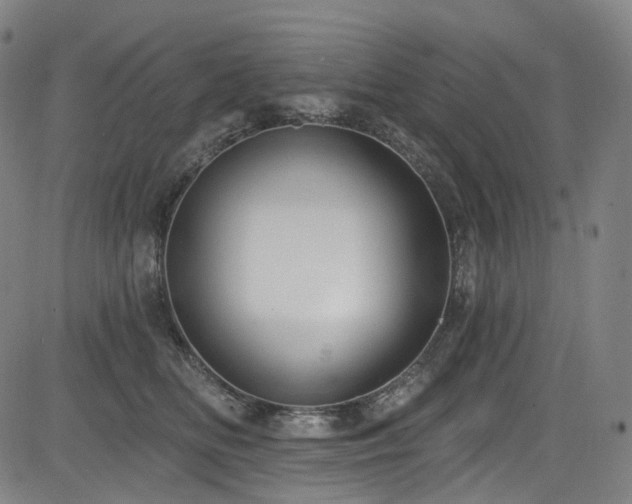 X0000085240518200703091220