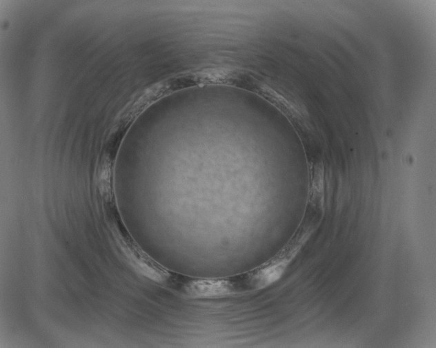 X0000085240526200703091220