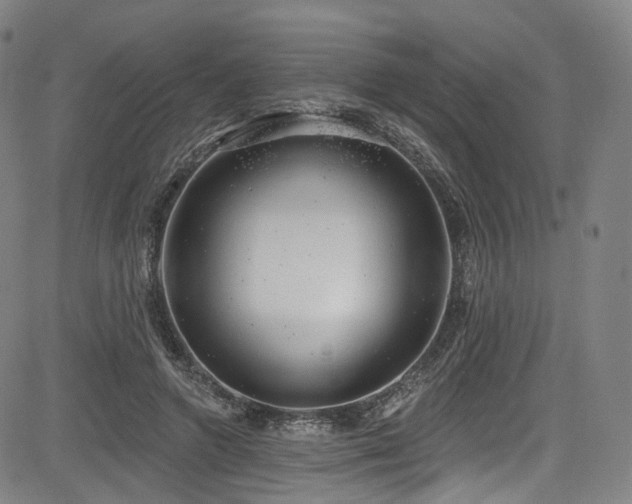 X0000085240546200703091219