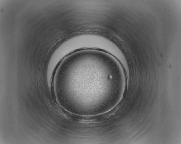 X0000085240556200703091219