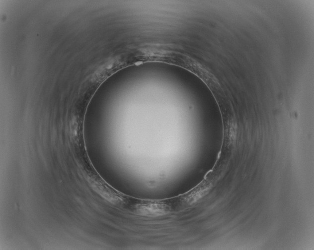 X0000085240567200703091220