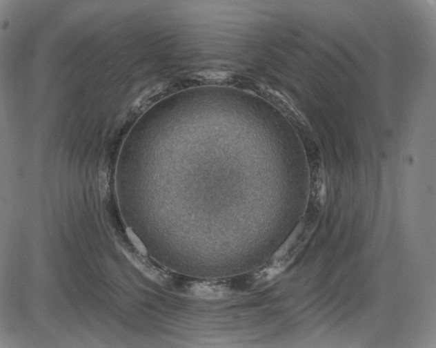 X0000085240568200703091220