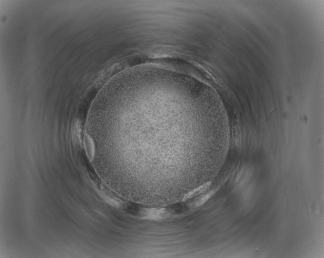 X0000085240575200703091220