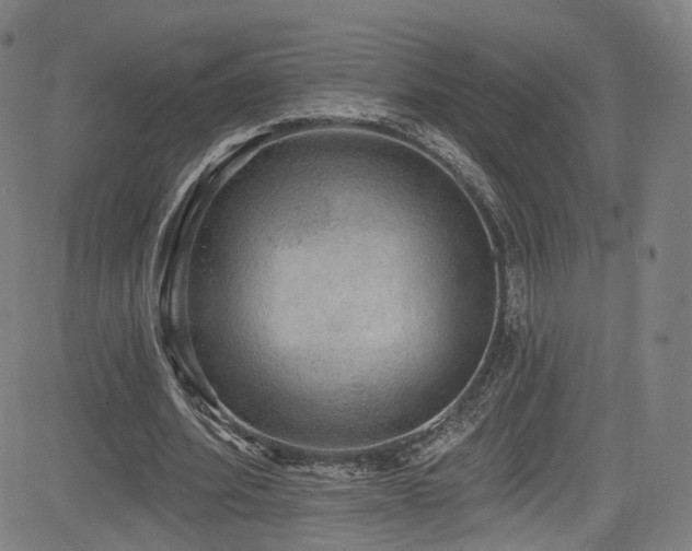 X0000085240580200703091219