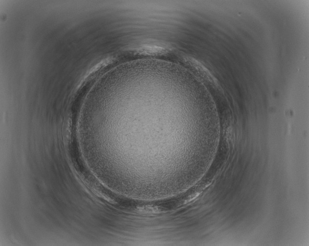X0000085240591200703091219