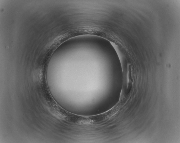 X0000085240595200703091219