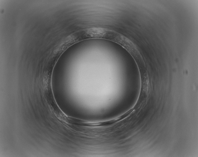 X0000085240604200703091219