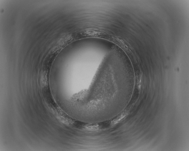 X0000085240606200703091219