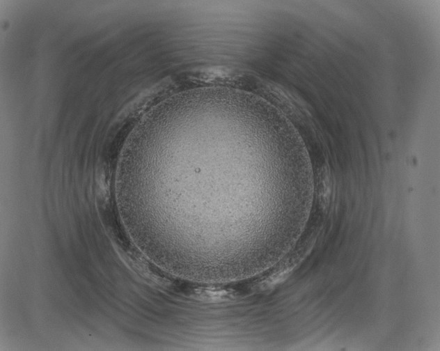 X0000085240607200703091218