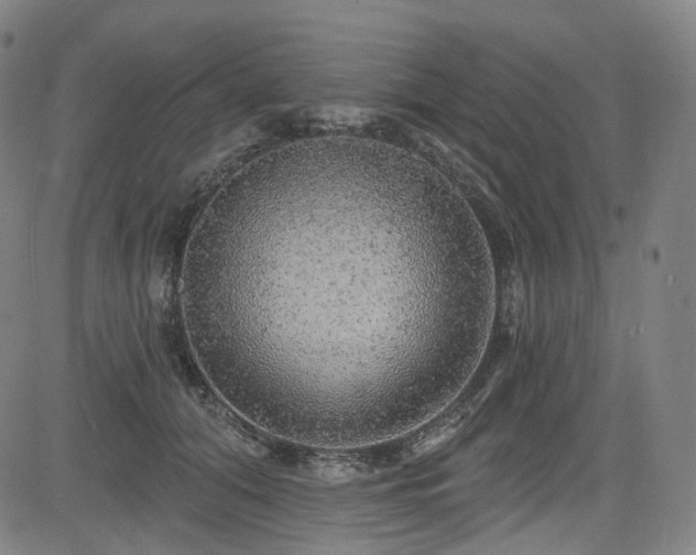 X0000085240608200703091218