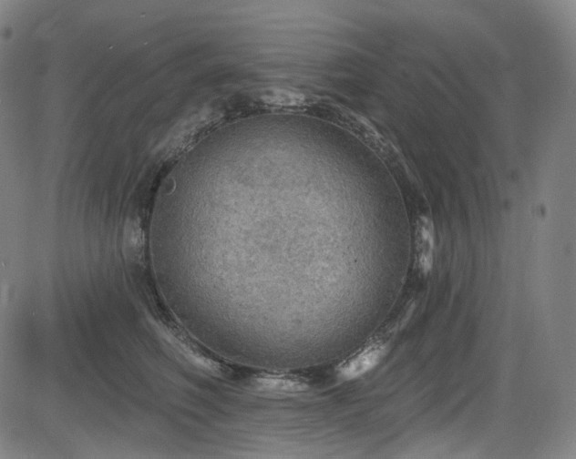 X0000085240614200703091218