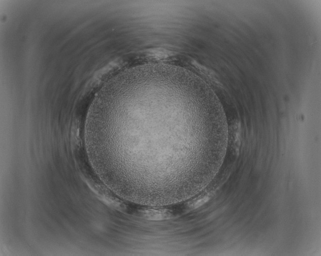 X0000085240615200703091218