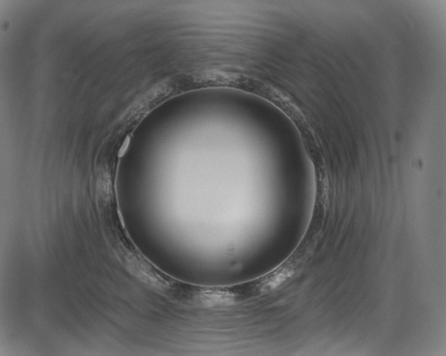 X0000085240617200703091218