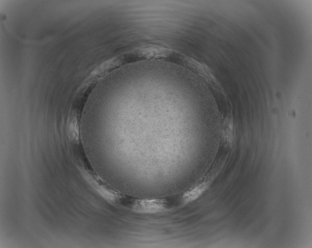 X0000085240622200703091218